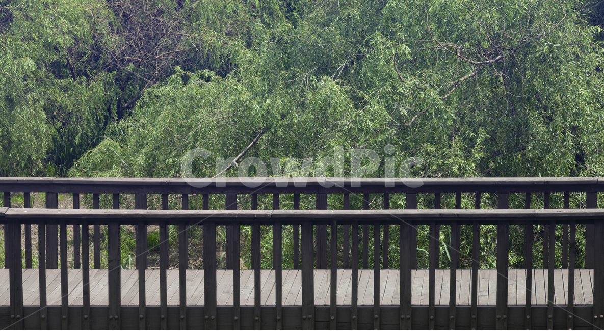 초여름,다리,울타리,길,초목,풀,나무,자연,풍경,nature,landscape,railing,난간,banister,handrail