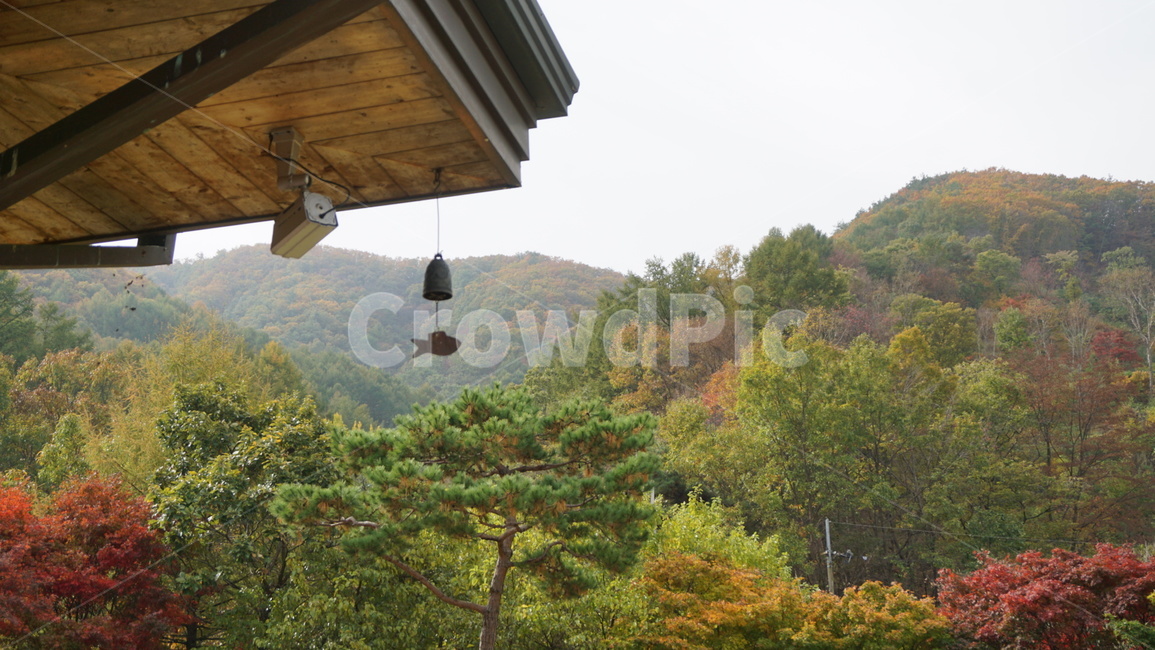 풍경,가을,단풍,처마끝,가을바람,나무들,가을한느낌,가을,계절,fall,autumn,season