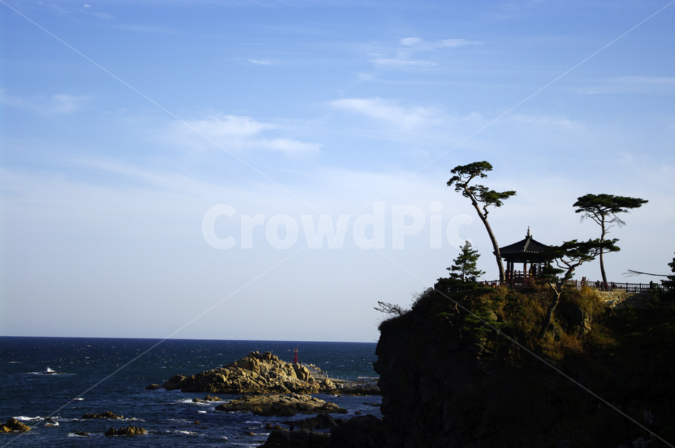 풍경,하늘,소나무,구름,정자,바다,자연,풍경,nature,landscape,한국자연풍경,한국자연경관,korea nature landscape,architecture,건축물,building,건물,outdoors,옥외