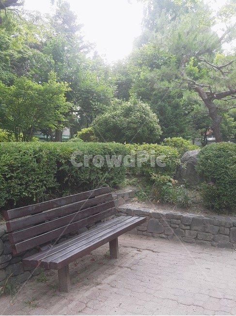 공원,의자,야외,풍경,나무