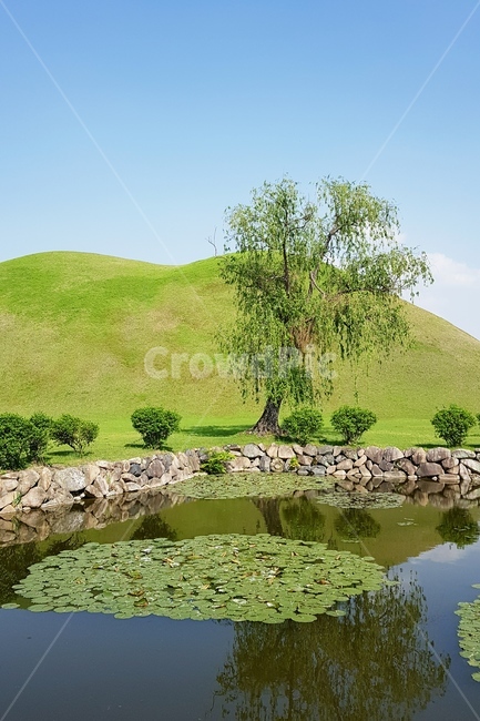 공원,파크,초록,풍경,자연,나무,연못,봄,자연풍경,자연,풍경,nature,landscape,한국자연풍경,한국자연경관,korea nature landscape,outdoors,옥외,water,물,field,들,grassland,목초지,pond,못