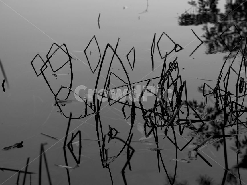 반사,reflect,추상적인,reservoir,빛반사,호수,저수지,조형,흑백,흑백,모노톤,monochrome,black and white