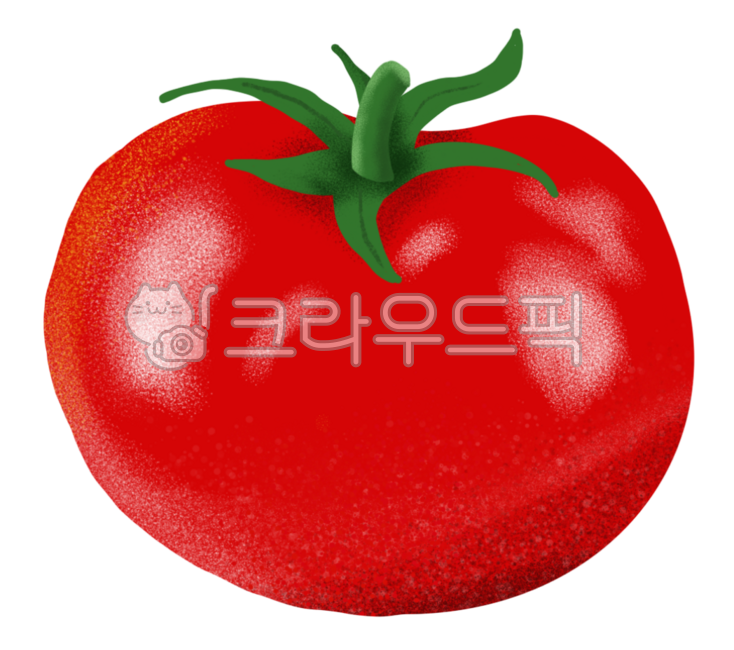 Tomato,fruit,tomato illustration,fruit illustration,illustration