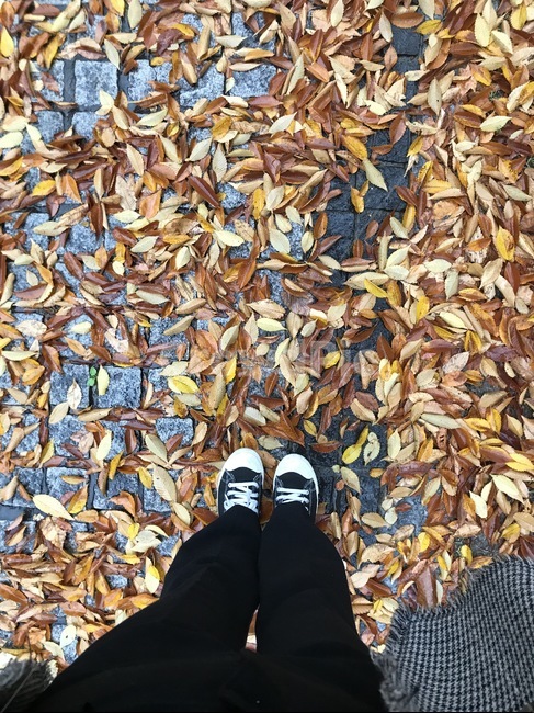 가을,낙엽,희망적인,촉촉한,우수,맑은하늘,외로움,가을,계절,fall,autumn,season,사람,인물,인간,human,person,신체일부,몸,body