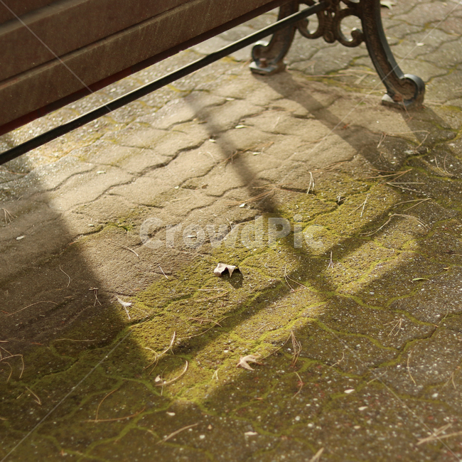 그림자,이끼,벤치,공원,빛