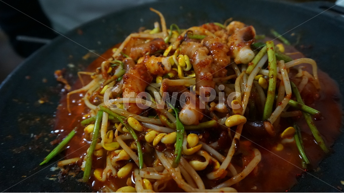 낙지,낙지볶음,요리,요리사진,낙지사진,음식,음식사진,사진,DSLR,음식,식재료,요리,food,cook,meal,dishes,food reserves,수산물,해산물,fishery products,seafood,한식,한국음식,한국요리,korean food,korean dishes,korean meal,korean cook