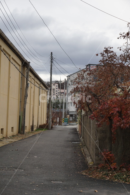 road,도로,street,거리,city,시티,urban,어반,town,도시,building,건물,골목