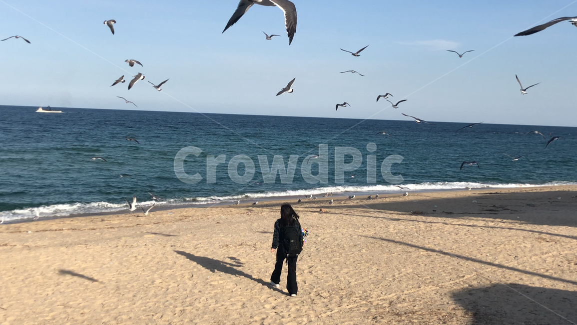 바다,여자,뒷모습,갈매기,강릉,여행,배낭여행,휴가,하늘,파랑,파란색,겨울바다,그림자,사람,인물,국내여행,beach,ocean,blue,woman,person,female,trip