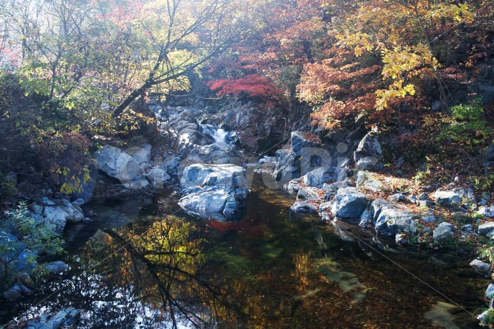 방태산,계곡,단풍,반영,물,돌,낙엽,가을,계절,fall,autumn,season,자연,풍경,nature,landscape,한국자연풍경,한국자연경관,korea nature landscape,water,outdoors,옥외,stream,흐름,creek,작은 만