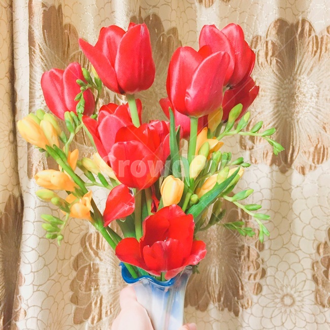 튤립,빨강,노랑,고급,꽃꽂이,화분,tulip