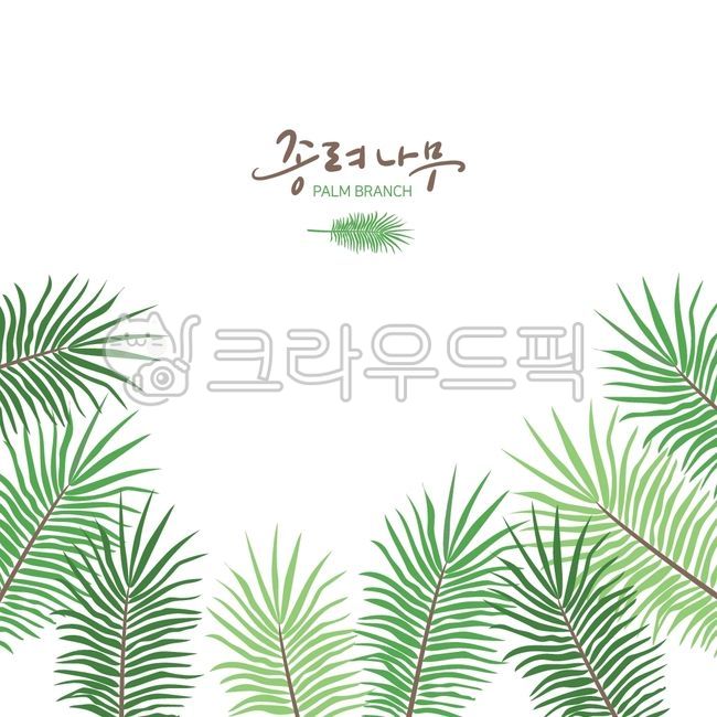 green,palm branch,tree,vegetation,leaf,branch,herbs,tropical,palm tree,leaves,tropical child,tropical tree,herb,calligraphy