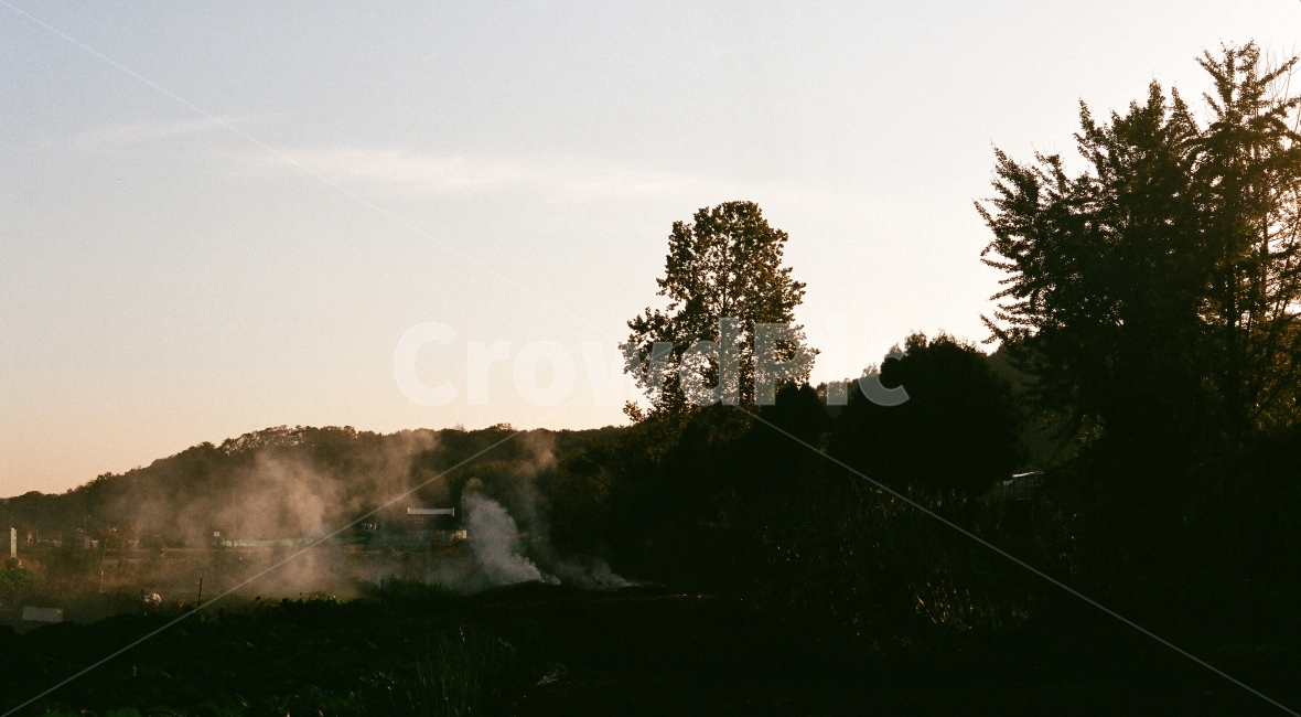 안개,시골,풍경,해질녘,먼지,밭,밭에서,필름,자연,풍경,nature,landscape,시골,마을,country,rural,town