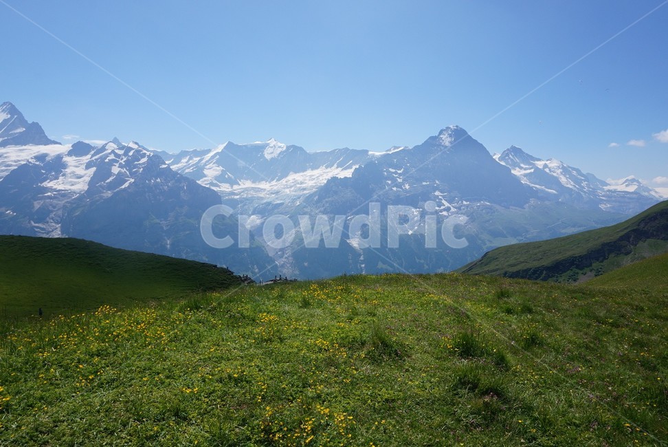 산,자연,풍경,nature,스위스,outdoors,옥외,감성,자연,풍경,nature,landscape,grassland,목초지,field,들