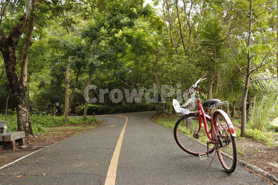 bicycle,자전거,bike,공원,길,나무