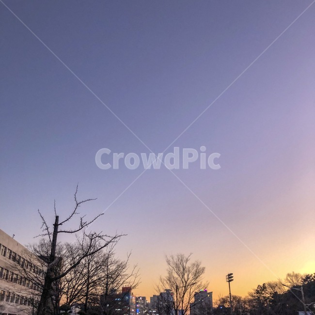 해질녘,노을,하늘,감성,거리,포근한,따뜻한,자연,풍경,nature,landscape,flare,플레어,light,빛,outdoors,옥외