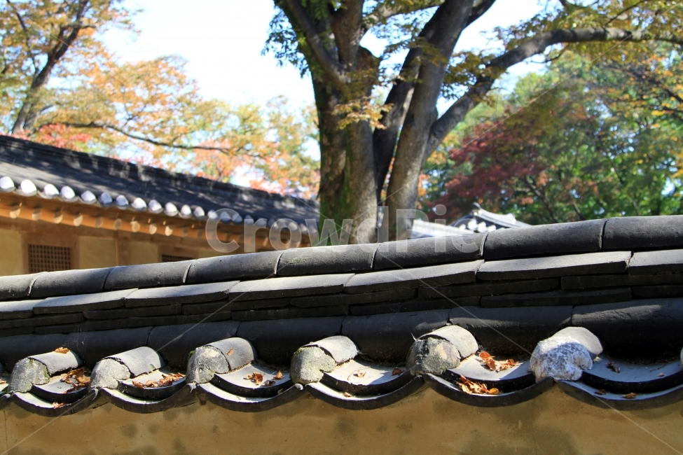 옛것,기와,담장,돌담,옛날울타리,한국전통,한국문화,korean traditional,korean culture,건축물,건물외관,exterior,building,structure,architecture,construction