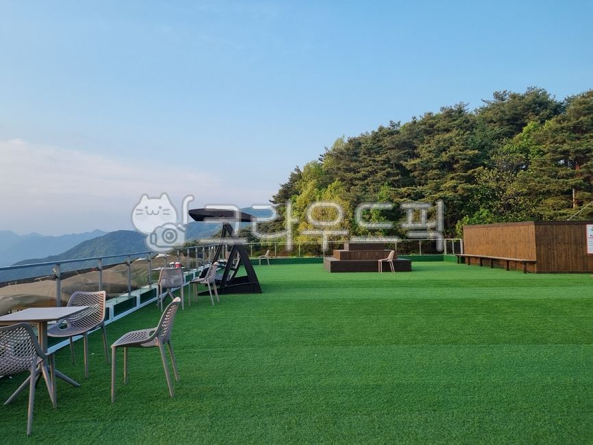 옥외,옥상,산꼭대기,초록색,산림