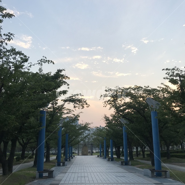 하늘,노을,센텀,나무,거리