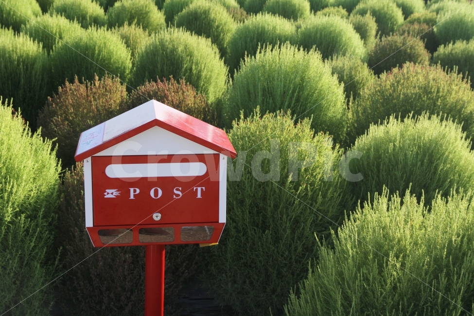 편지함,우편함,나무,POST,post,식물,자연,plants,nature,사물,물건,오브젝트,thing,object,matter