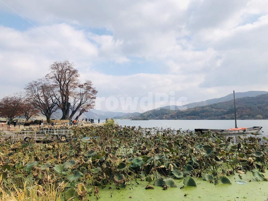 nature,자연,outdoors,옥외,land,땅,가을,계절,fall,autumn,season,자연,풍경,nature,landscape,한국자연풍경,한국자연경관,korea nature landscape