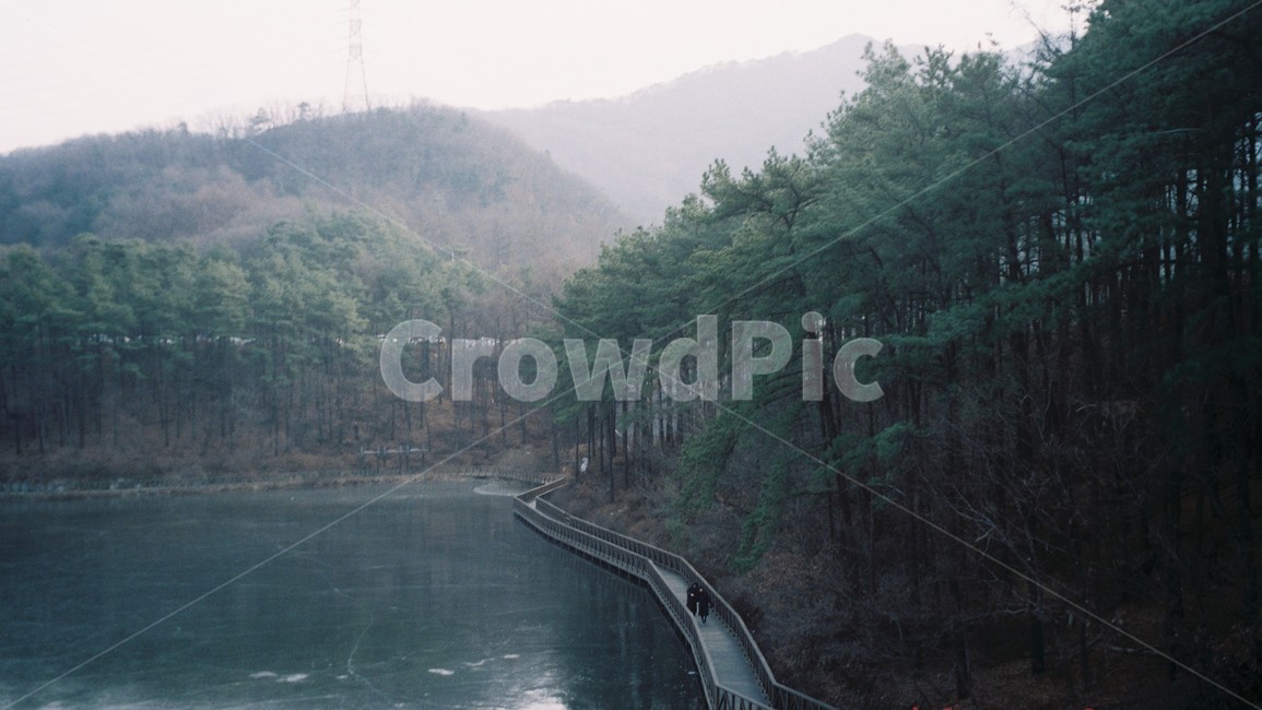 호수,산책,산,겨울,소나무,풍경,자연