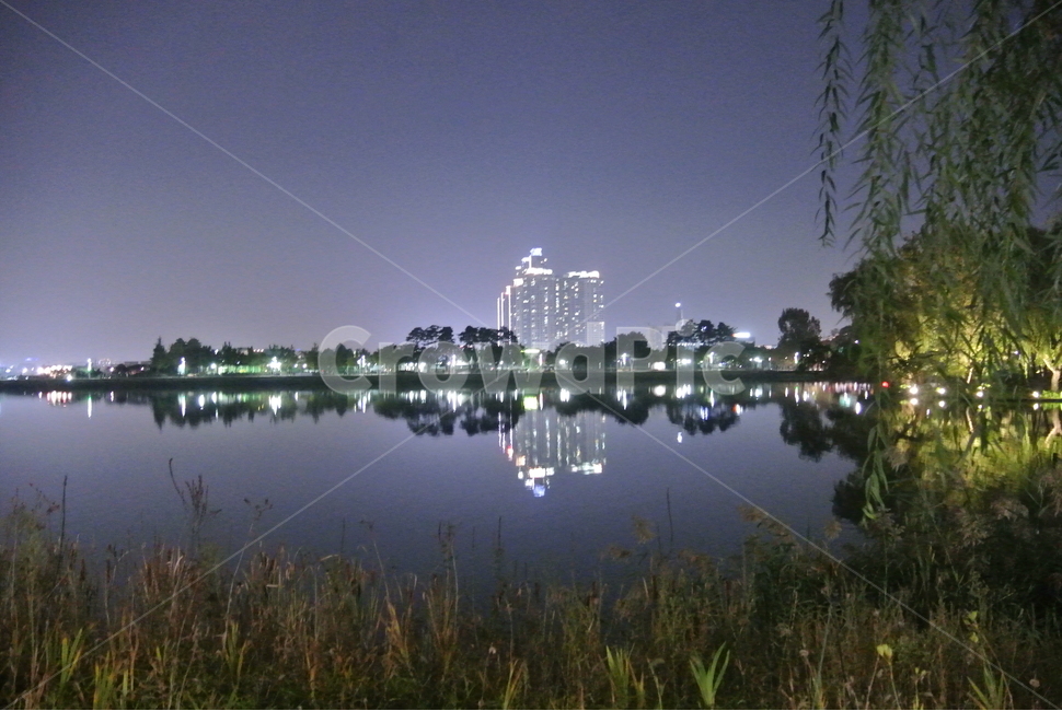 nature,자연,water,물,야경,호수,야경,밤,풍경,nightscape,night,landscape,outdoors,옥외