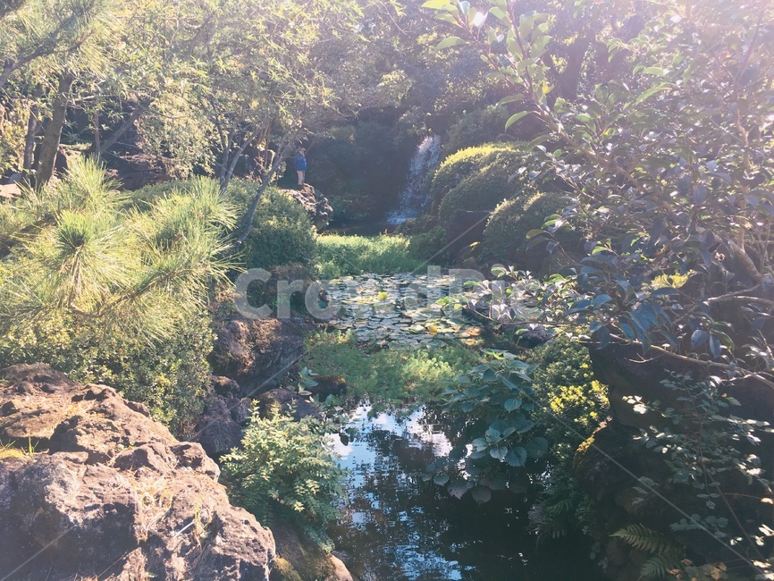 제주,제주도,맑음,자연,jeju,jejuisland,nature