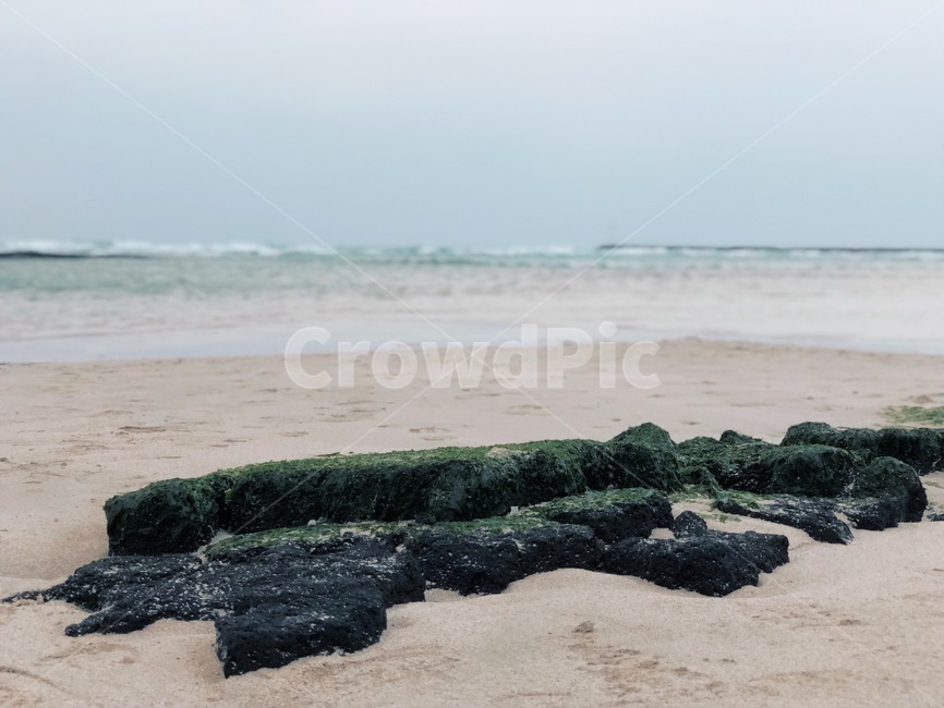 제주도,바다,이끼,모래,돌,자연,풍경,nature,landscape,해변,바다,beach,sea