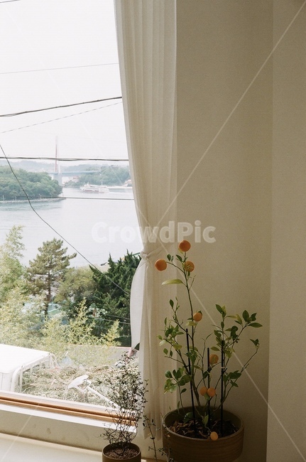 카페,화분,바다,창문,cafe,인테리어,실내디자인,interior design