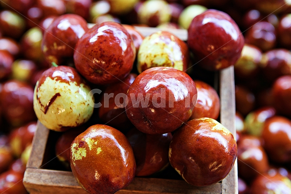 대추,빨강,수확,과일,음식,식재료,요리,먹거리,가을,추수,가을,계절,fall,autumn,season,과일,열매,fruit,confectionery,과자,food,sweets,plant,식물