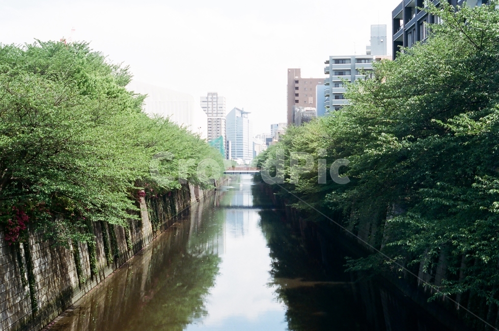 일본,도쿄,나카메구로,필름,감성,아날로그