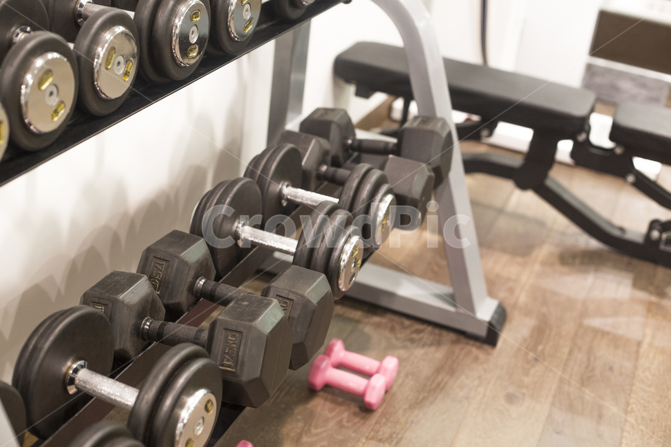 아령,덤벨,운동,운동기구,근육,휘트니스,헬스,헬스장,건강,스포츠,건강,헬스웨어,헬스케어,healthware,health care