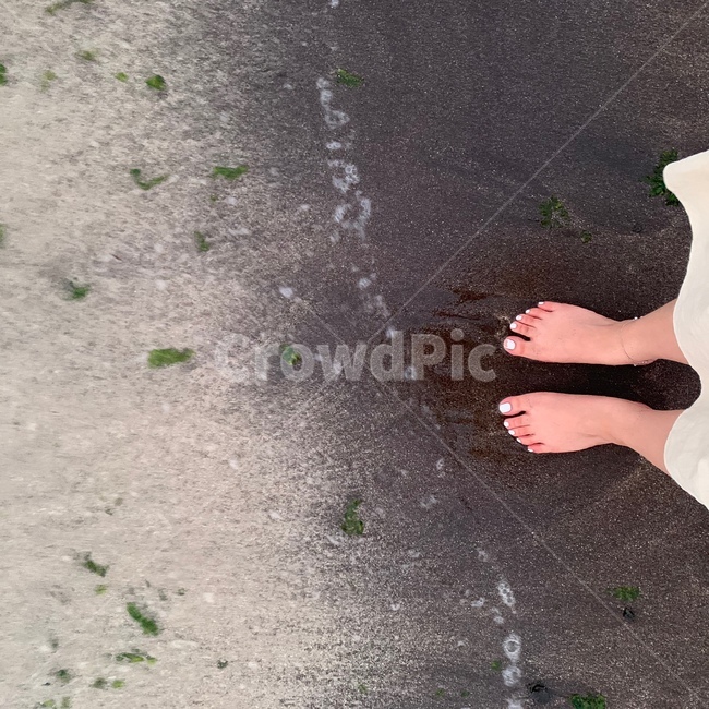 발,모래,해변,해초,베이지,사람,인물,인간,human,person,신체일부,몸,body,여성,여자,woman,female,lady