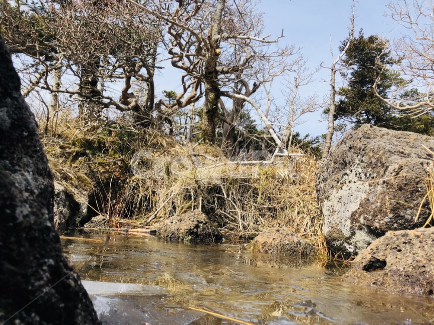 자연,나무,감성,이국적,숲,돌,바위,풀,자연,풍경,nature,landscape,outdoors,옥외,land,땅,water,물