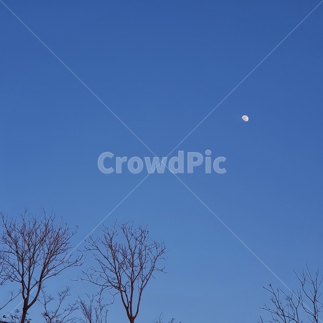 하늘,저녁하늘,달,반달,겨울하늘,sky,하늘색,푸른하늘