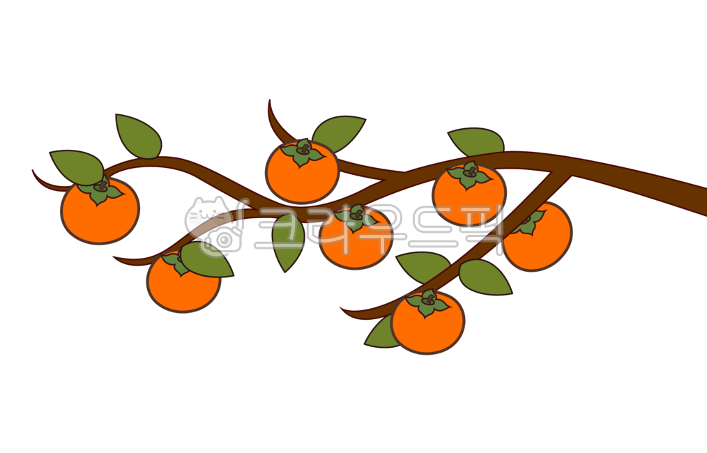 border,Persimmon illustration,Persimmon png,autumn stationery,fall decoration,Chuseok illustration,Chuseok stationery,leaf,Thanksgiving,holiday,fall stickers,Fall decoration,Persimmon tree picture,Fall Family Newsletter,kindergarden,Chuseok png,persimmon,