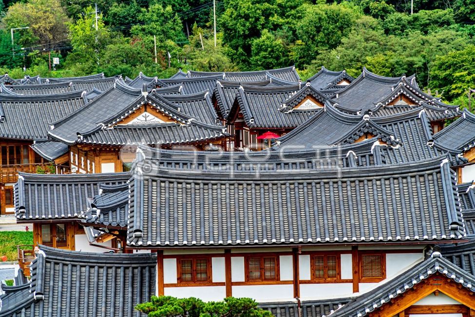 은평구,은평한옥마을,은평구한옥마을,한옥,한옥마을,한국,대한민국,서울,korea,seoul,hanok,koreanstylehouse,traditionalkoreanvillage,hanokvillage,hanokmaul,한국문화,한국전통,전통문화,한국풍경,한국자연,서울풍경,서울자연,풍경,landscape,nature,자연