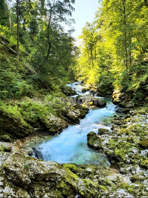 협곡,계곡,여름,슬로베니아,빈트가르,vintgar,gorge,valley,빈트가르협곡,계곡물,자연,풍경,동유럽,물,경관,더위,숲,나무,자연,풍경,nature,landscape,해외,외국,세계,foreign,oversea,world,세계자연풍경,해외자연풍경,외국자연풍경,world nature landscape,water,outdoors,옥외,creek,작은 만,stream,흐름