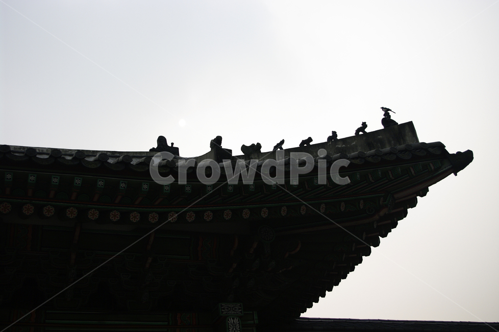 창덕궁,고궁,건축,전통건축,traditional,전통,단청,기와지붕,한국전통,한국문화,korean traditional,korean culture,건축물,건물외관,exterior,building,structure,architecture,construction