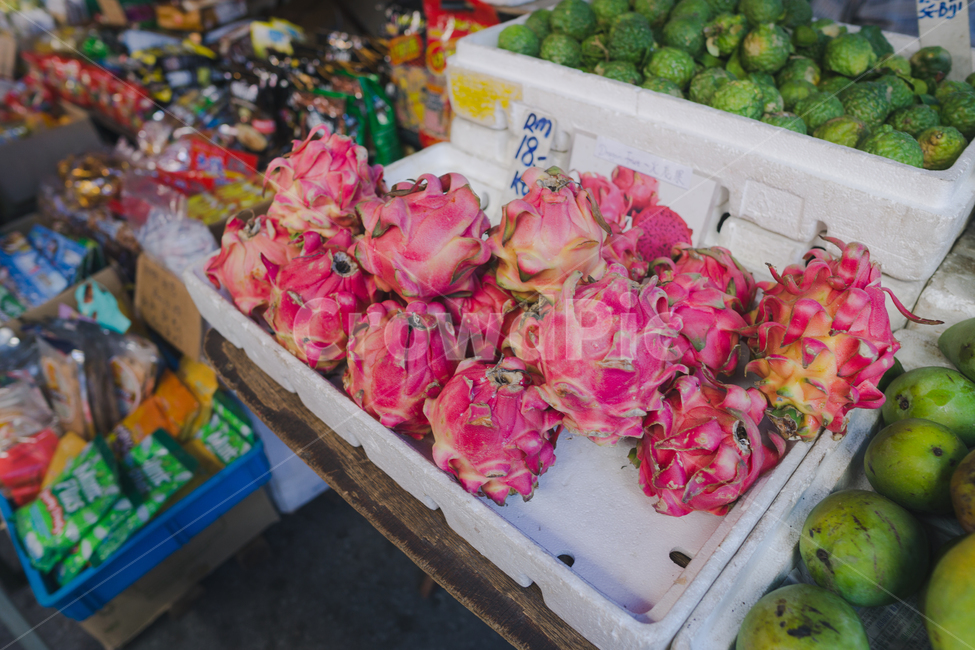 용과,fruit,dragonfruit,plant,식물,과일,열매,fruit