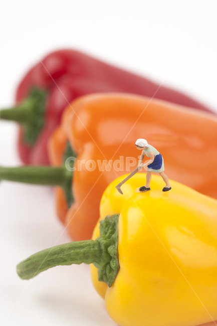 음식,오브젝트,파프리카,주황,오렌지색,야채,채소,녹색,그린,화이트,흰색,푸드,다이어트,요리,비비드,신선한,컬러,영양소,건강,먹다,피망,여자,미니어처,주황색,농사,농부,귀농,귀촌,비타민,비타민씨,쟁기,농기구,일구다,가꾸다,도시농부,클로즈업,누끼,수확,노란색,빨간색,컬러풀,영양,조각상,동상,석상,조형물,statue,bronze statue,stone statue,음식,식재료,요리,food,cook,meal,dishes,food reserves,채소,야채,vegetables,농업,농사,agriculture,farming,farming industry,연출,컨셉,콘셉,direction,concept