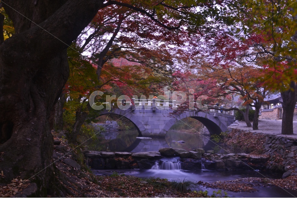 nature,자연,outdoors,옥외,전북,고창,선운사,도솔천,선암교,선운사가을,선운사추색,선운사계곡