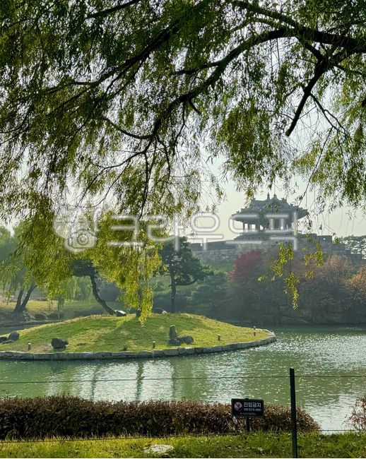 nature,자연,연못,water,물,tree,나무,park,공원