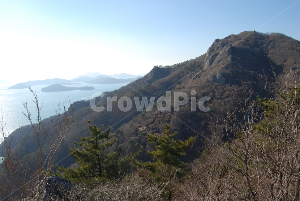 한국,여수,금오산,등산로,다도해,자연,풍경,nature,landscape,한국자연풍경,한국자연경관,korea nature landscape,tree,나무,plant,식물,fir,전나무,abies,아비,slope,경사