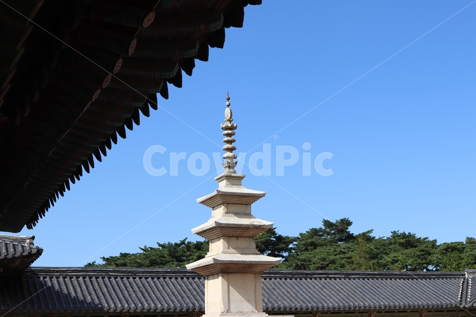 석가탑,무영탑,국보,불국사,탑,절,사찰,사적,기와,처마,불교,경주,통일신라,신라,경덕왕,종교,역사,문화,전통,유적,삼국유사,관광지,건물,건축물,신전,신사,예배,worship,building,architecture,shrine,temple,pagoda
