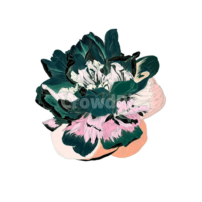 flower,design,스케치,꽃,원포인트,그린,그래픽,일러스트레이션,graphic,illustration