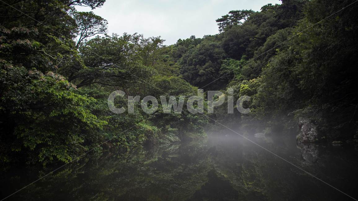 weather,날씨,nature,자연,outdoors,옥외,fog,안개,river,자연,풍경,nature,landscape