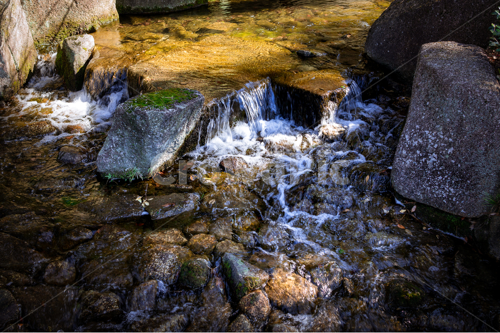 계곡,자연,물,돌,이끼,자연,풍경,nature,landscape,water,outdoors,옥외,stream,흐름,creek,작은 만