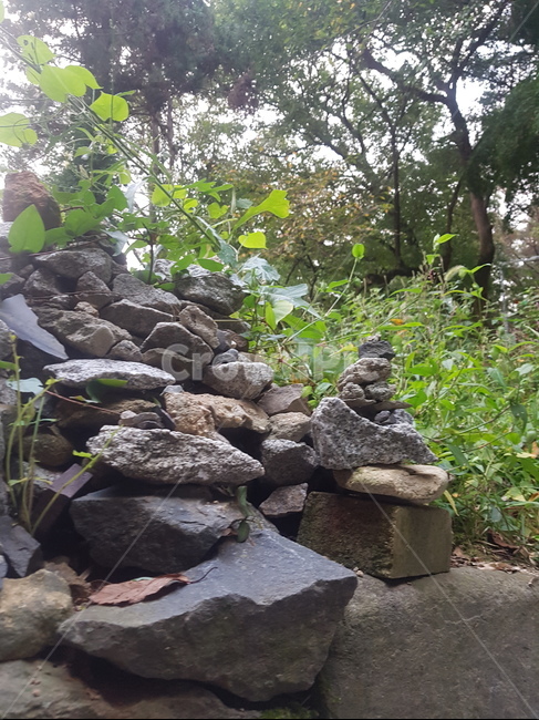 돌탑,소원,등산로,돌,풀