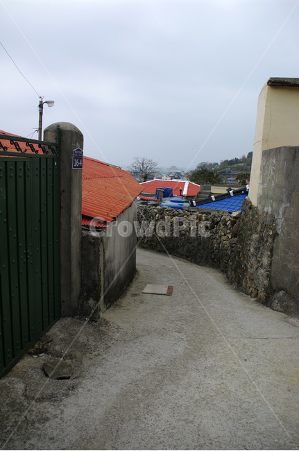 골목길,돌담길,돌담,집,시골,길,지붕,대문,시골,마을,풍경,landscape,country,rural,town,골목길,alley,outdoors,옥외,nature,자연,building,건물,농촌